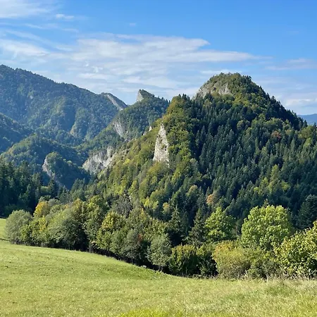 Pod Modrzewiami *